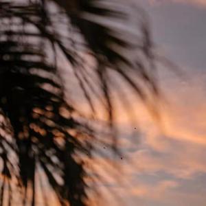 国产老年人乱伦电影
