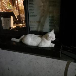 国产老年人乱伦电影
