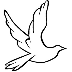 国产老年人乱伦电影
